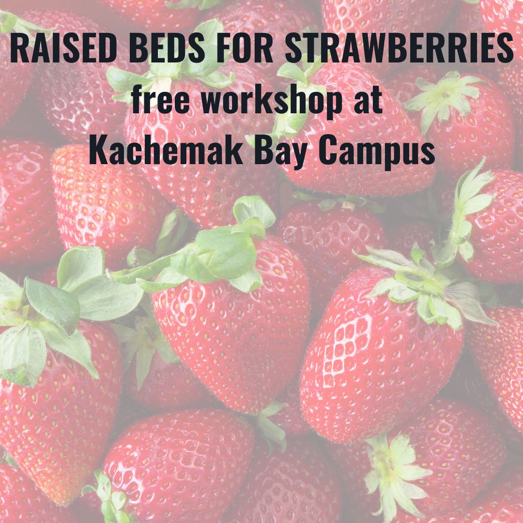 photo of strawberries with workshop title, time and date superimposed.