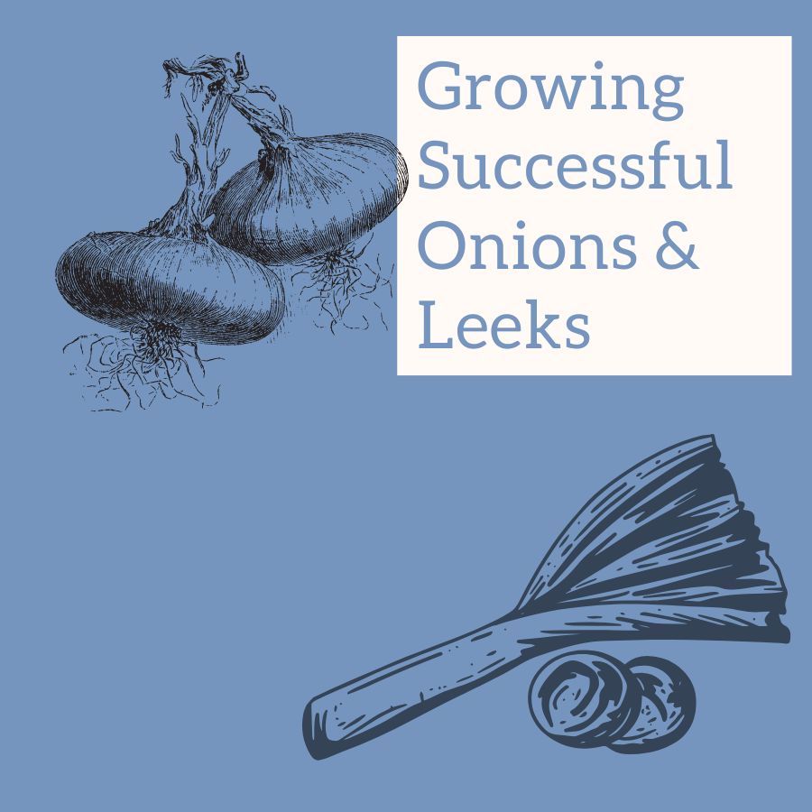 Growing Successful Onions & Leeks graphic with onions and leeks pictured