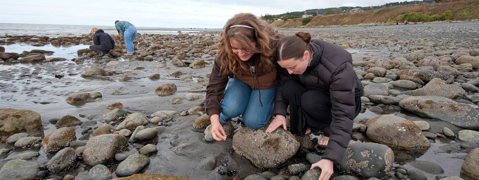 On Bishops Beach in Homer, two female KBC students are examining a rock in the tidal zone with two other students in the distance.