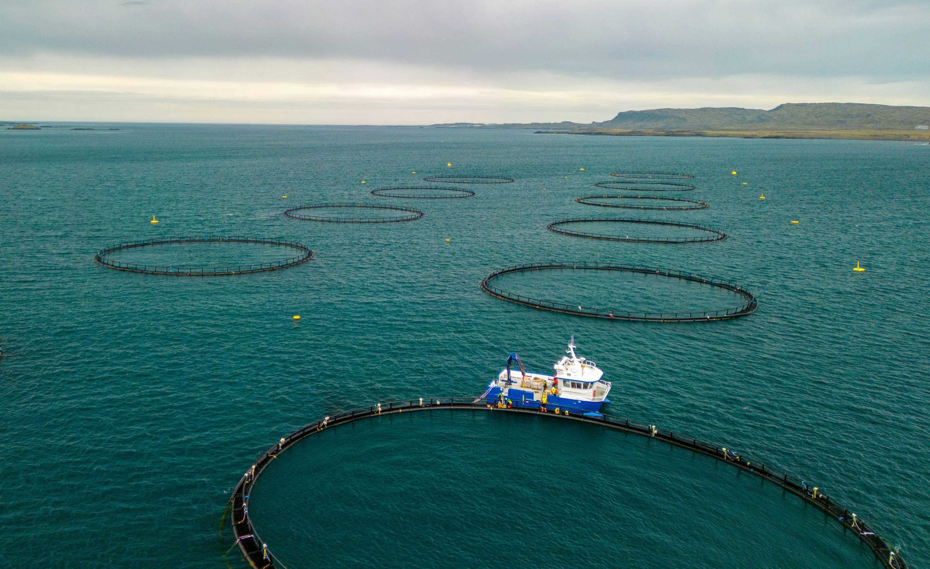 Boat on ocean with mountains in background at fish farm