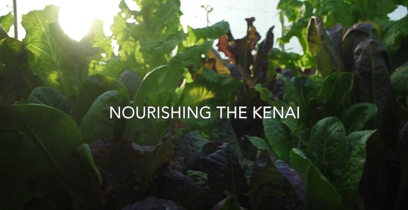Nourishing The Kenai