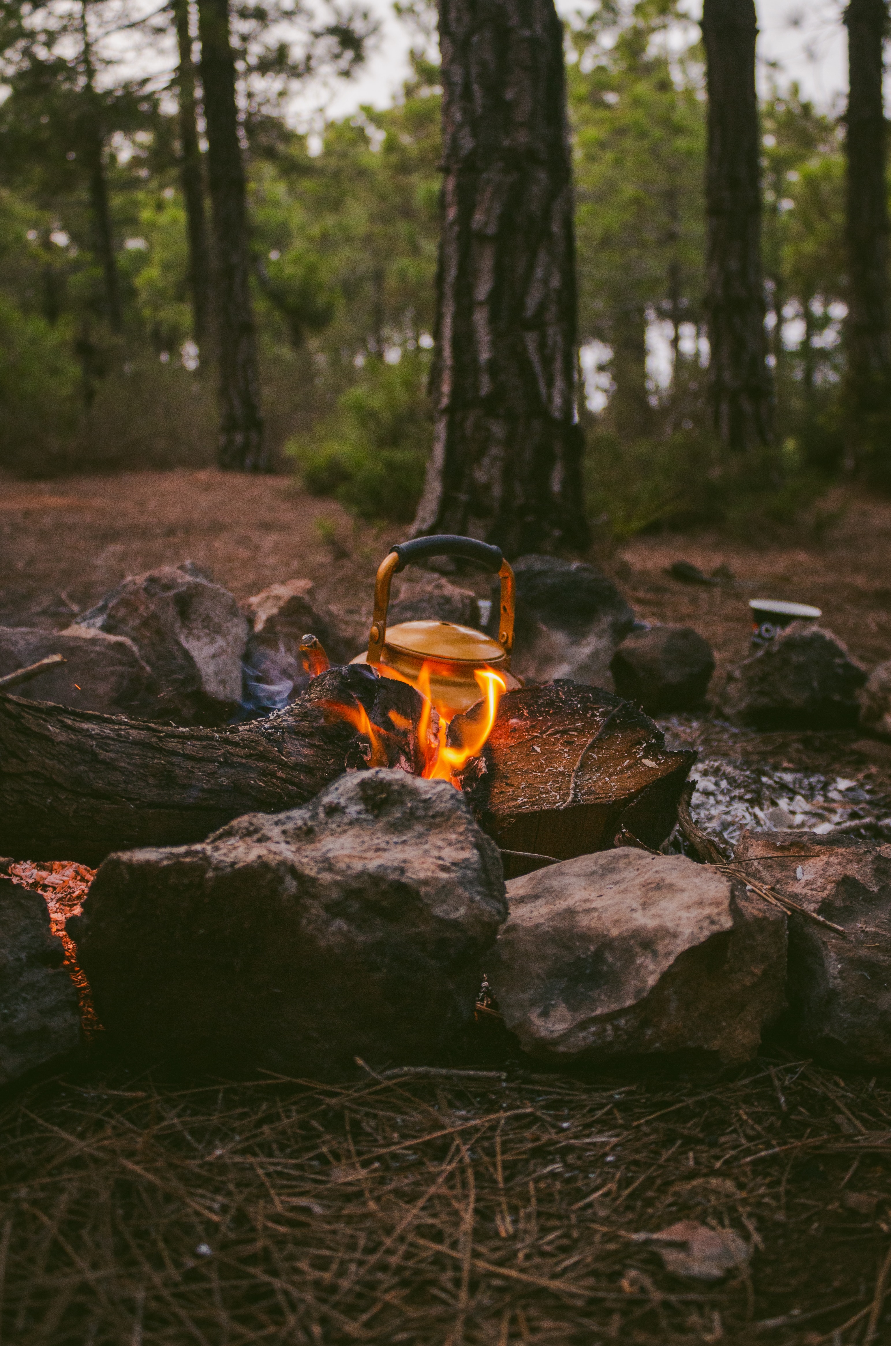 small campfire in the woods